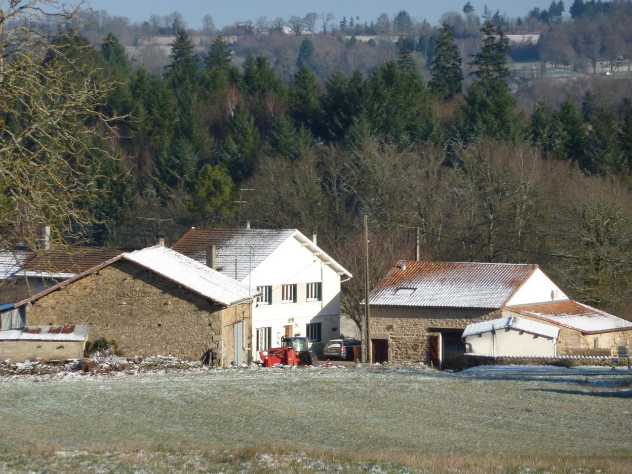 L'Hirondelle Chambres D'Hotes Saint-Mathieu Esterno foto